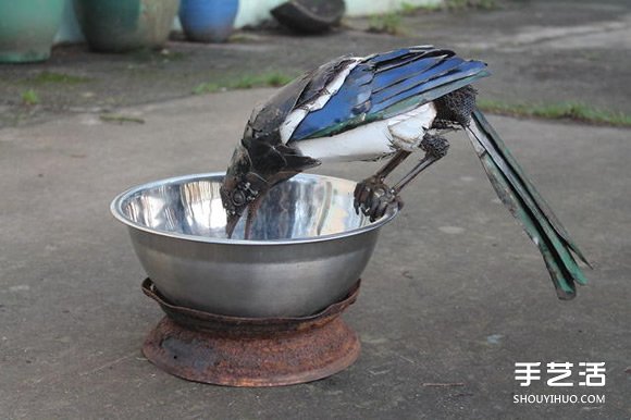 废弃金属变废为宝DIY翠鸟、蓝蝶、喜鹊等动物(图1)