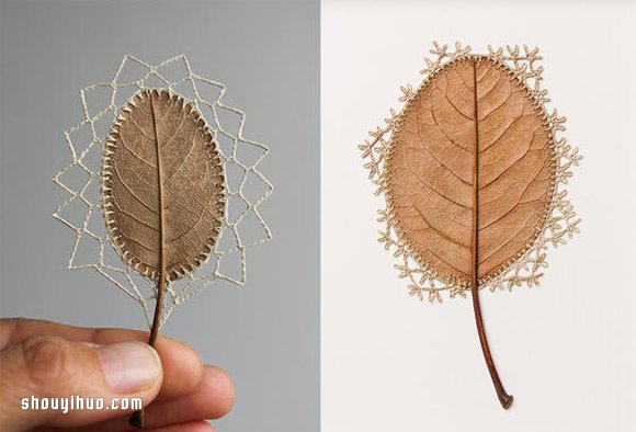 Susanna Bauer缝纫作品 在枯叶上穿针引线(图11)