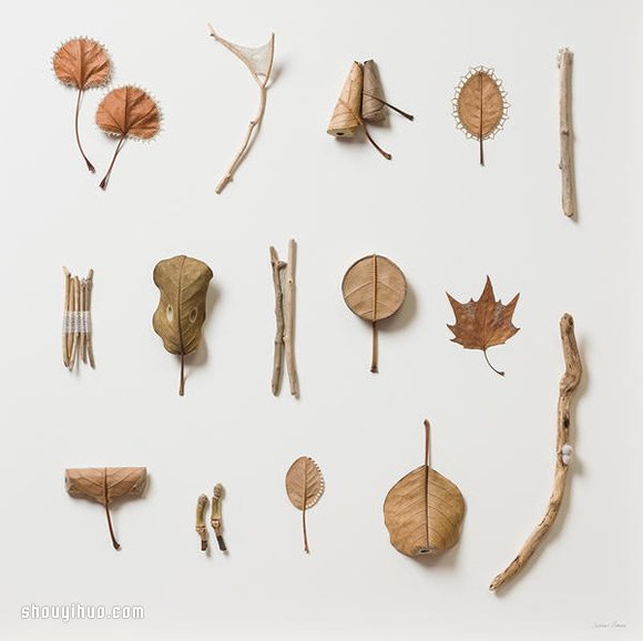 Susanna Bauer缝纫作品 在枯叶上穿针引线(图12)