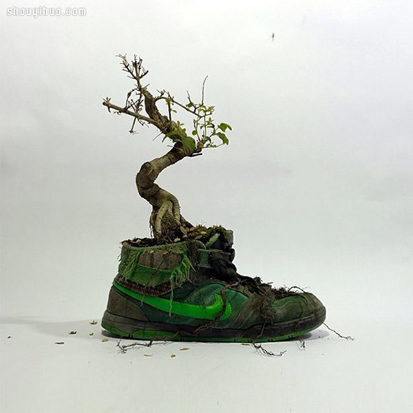 NIKE 球鞋创意DIY 变身漂亮小盆栽(图4) NIKE 球鞋创意DIY 变身漂亮小盆栽(图4)