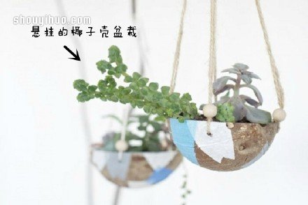 废物利用创意花盆盆栽DIY(图2) 废物利用创意花盆盆栽DIY(图2)