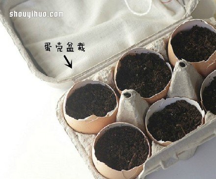 废物利用创意花盆盆栽DIY(图1) 废物利用创意花盆盆栽DIY(图1)