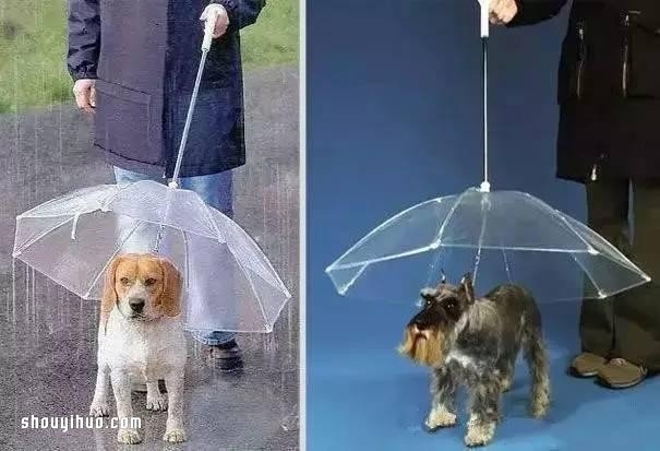 坏掉的伞废物利用小制作 雨伞阳伞再利用DIY(图13)