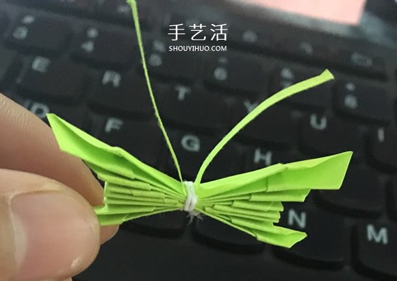 简单的方法折纸蝴蝶的图解教程(图7) 简单的方法折纸蝴蝶的图解教程(图7)