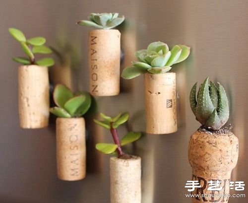 废品利用:12个废物利用小技巧DIY创意盆栽(图9) 废品利用:12个废物利用小技巧DIY创意盆栽(图9)