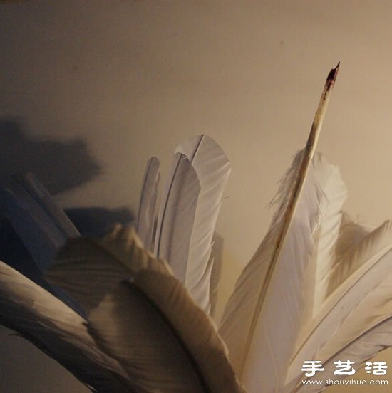 自制鹅毛笔 鹅毛笔的制作方法教程(图3)