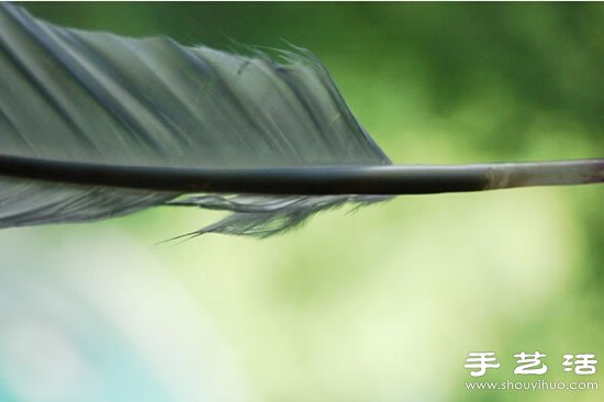 自制鹅毛笔 鹅毛笔的制作方法教程(图5)