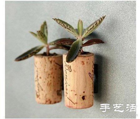 瓶瓶罐罐废物利用DIY迷你盆栽(图1) 瓶瓶罐罐废物利用DIY迷你盆栽(图1)