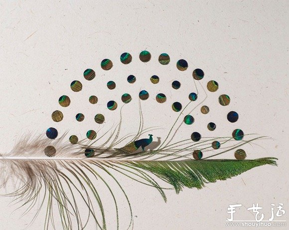 鸟儿羽毛艺术品手工制作(图3)