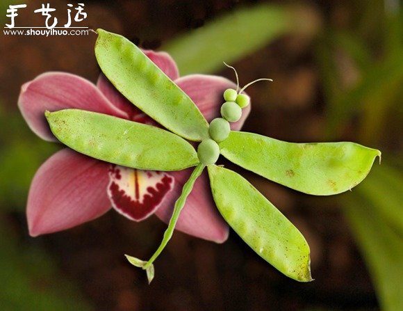 蔬菜DIY的有趣动物(图2)