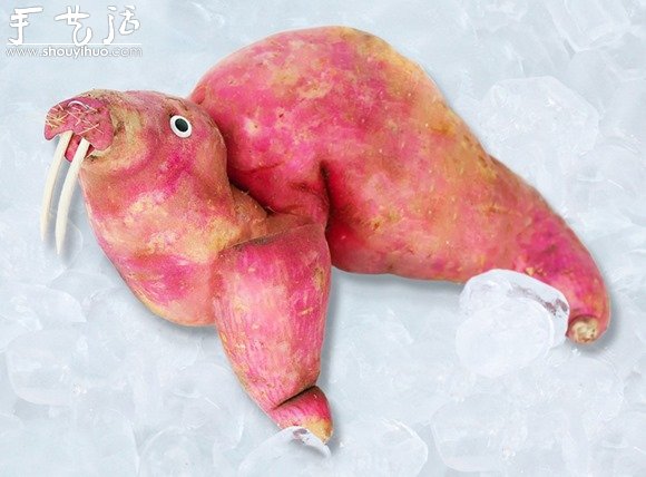 蔬菜DIY的有趣动物(图1)
