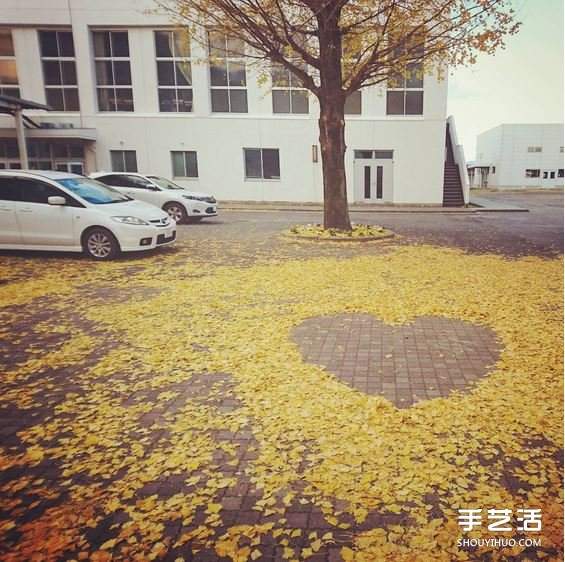 扫地也能很诗意 这么DIY让秋天落叶更浪漫!(图3) 扫地也能很诗意 这么DIY让秋天落叶更浪漫!(图3)