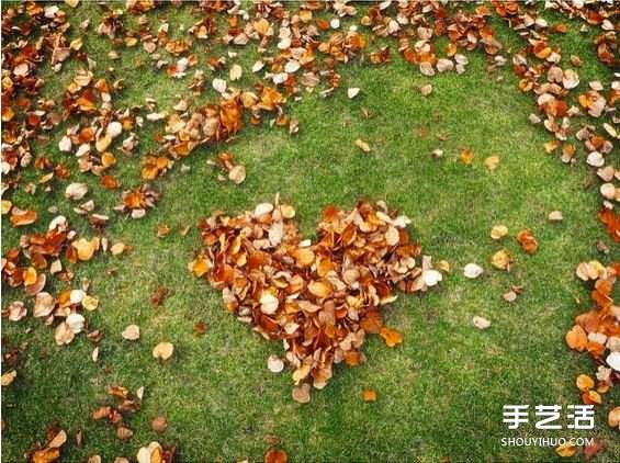 扫地也能很诗意 这么DIY让秋天落叶更浪漫!(图4) 扫地也能很诗意 这么DIY让秋天落叶更浪漫!(图4)