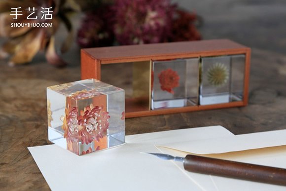 吉村紘一的树脂标本方块 将大自然封于小宇宙(图6) 吉村紘一的树脂标本方块 将大自然封于小宇宙(图6)