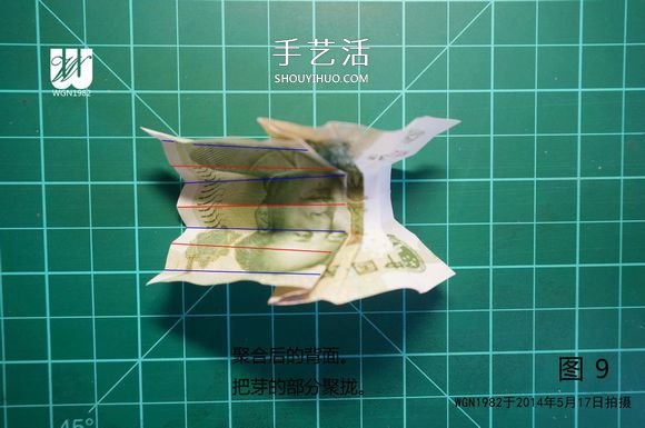 一元纸币折纸教程：鞋子里的芽苗的折法图解(图9)