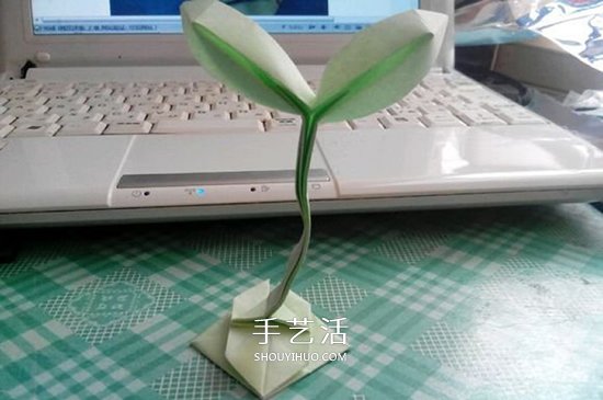 立体树苗的折法图解 折纸树苗的方法步骤图 - 诺云双维造物网
