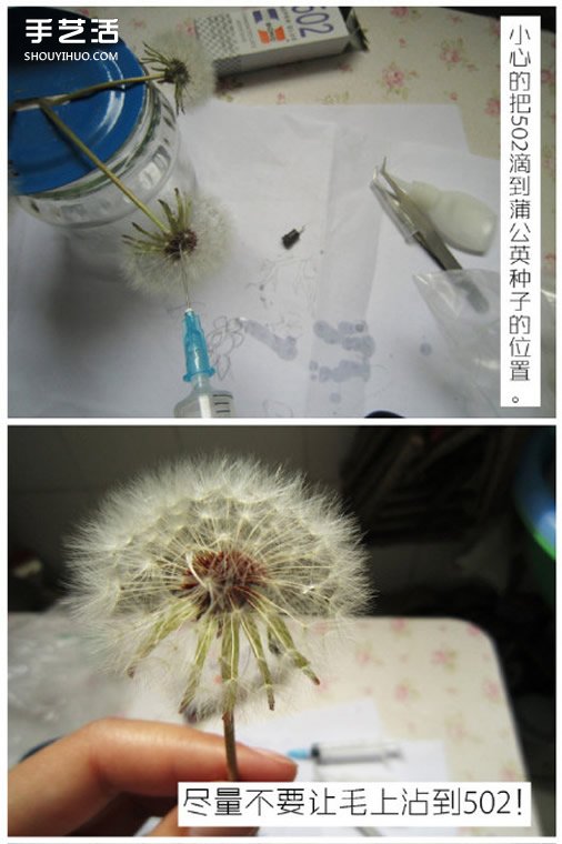 树脂蒲公英透明饰品手工DIY制作详细图解教程(图2)