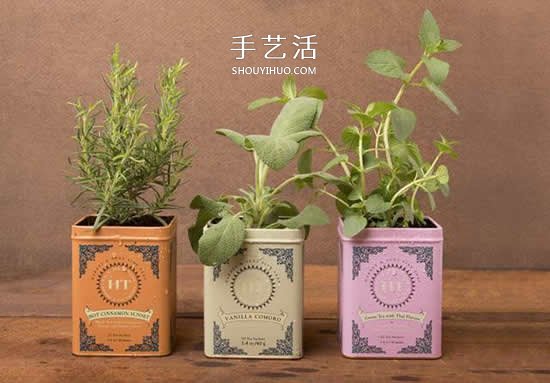 不花一分钱!废物利用做花盆美到让邻居羡慕(图3) 不花一分钱!废物利用做花盆美到让邻居羡慕(图3)