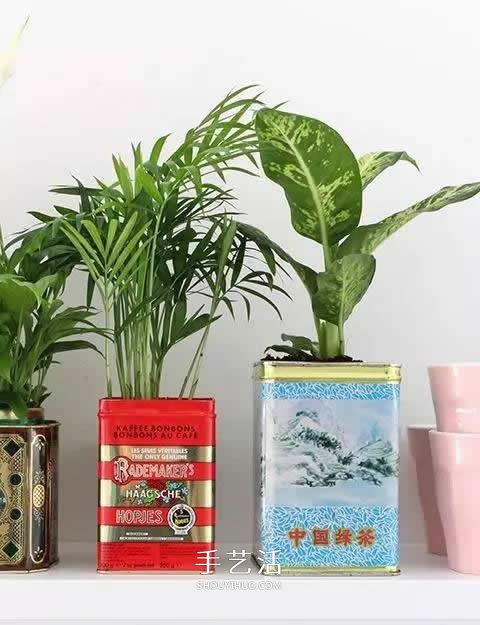 不花一分钱!废物利用做花盆美到让邻居羡慕(图4) 不花一分钱!废物利用做花盆美到让邻居羡慕(图4)