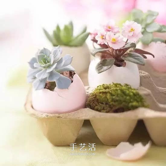 不花一分钱!废物利用做花盆美到让邻居羡慕(图21) 不花一分钱!废物利用做花盆美到让邻居羡慕(图21)