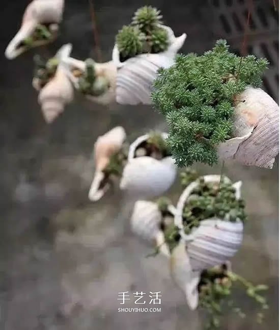 不花一分钱!废物利用做花盆美到让邻居羡慕(图29) 不花一分钱!废物利用做花盆美到让邻居羡慕(图29)