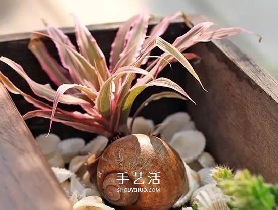 不花一分钱!废物利用做花盆美到让邻居羡慕(图32) 不花一分钱!废物利用做花盆美到让邻居羡慕(图32)