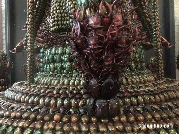 慎入!用昆虫尸体制作武士盔甲和千手观音(图6) 慎入!用昆虫尸体制作武士盔甲和千手观音(图6)