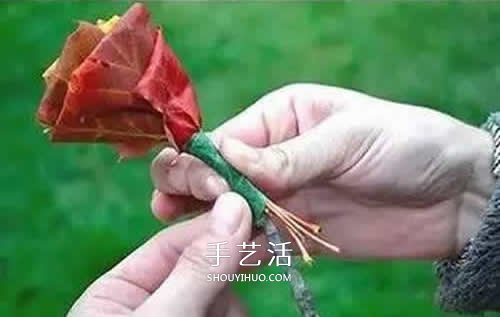 落叶制作玫瑰花图解 枫叶玫瑰花的做法步骤(图7) 落叶制作玫瑰花图解 枫叶玫瑰花的做法步骤(图7)