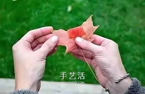 落叶制作玫瑰花图解 枫叶玫瑰花的做法步骤(图3) 落叶制作玫瑰花图解 枫叶玫瑰花的做法步骤(图3)