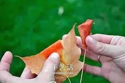 落叶制作玫瑰花图解 枫叶玫瑰花的做法步骤(图4) 落叶制作玫瑰花图解 枫叶玫瑰花的做法步骤(图4)
