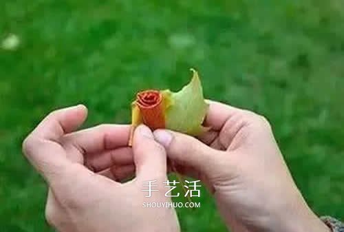 落叶制作玫瑰花图解 枫叶玫瑰花的做法步骤(图5) 落叶制作玫瑰花图解 枫叶玫瑰花的做法步骤(图5)