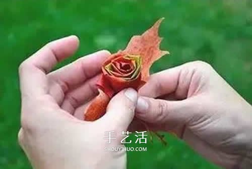 落叶制作玫瑰花图解 枫叶玫瑰花的做法步骤(图6) 落叶制作玫瑰花图解 枫叶玫瑰花的做法步骤(图6)