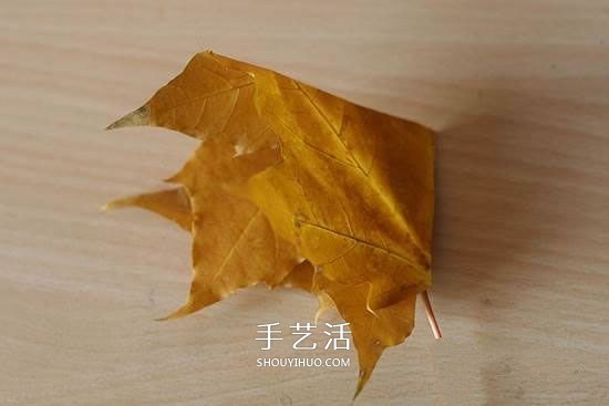 枫叶怎么做玫瑰花教程 简单枫叶玫瑰DIY方法(图3) 枫叶怎么做玫瑰花教程 简单枫叶玫瑰DIY方法(图3)