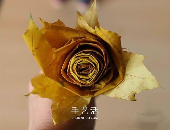 枫叶怎么做玫瑰花教程 简单枫叶玫瑰DIY方法 - 诺云双维造物网