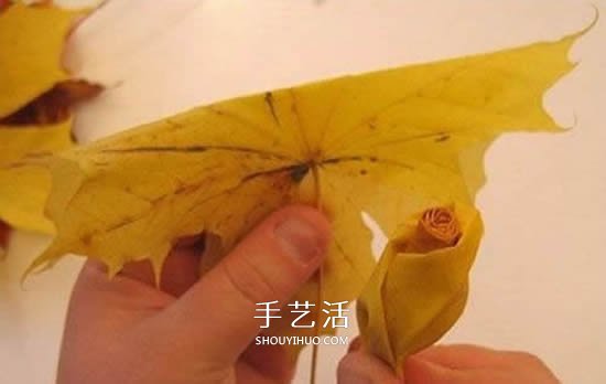 枫叶手工制作玫瑰花苞 树叶玫瑰花苞的做法(图6) 枫叶手工制作玫瑰花苞 树叶玫瑰花苞的做法(图6)