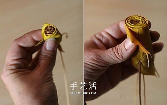 枫叶怎么做玫瑰花教程 简单枫叶玫瑰DIY方法(图5) 枫叶怎么做玫瑰花教程 简单枫叶玫瑰DIY方法(图5)