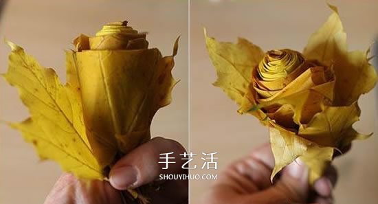 枫叶怎么做玫瑰花教程 简单枫叶玫瑰DIY方法(图6) 枫叶怎么做玫瑰花教程 简单枫叶玫瑰DIY方法(图6)