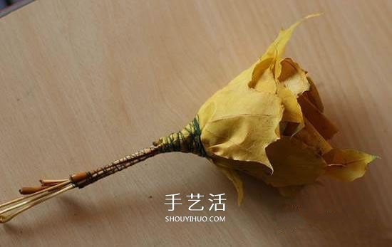 枫叶怎么做玫瑰花教程 简单枫叶玫瑰DIY方法(图7) 枫叶怎么做玫瑰花教程 简单枫叶玫瑰DIY方法(图7)