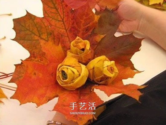枫叶手工制作玫瑰花苞 树叶玫瑰花苞的做法 - 诺云双维造物网