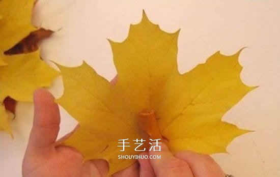 枫叶手工制作玫瑰花苞 树叶玫瑰花苞的做法(图4) 枫叶手工制作玫瑰花苞 树叶玫瑰花苞的做法(图4)