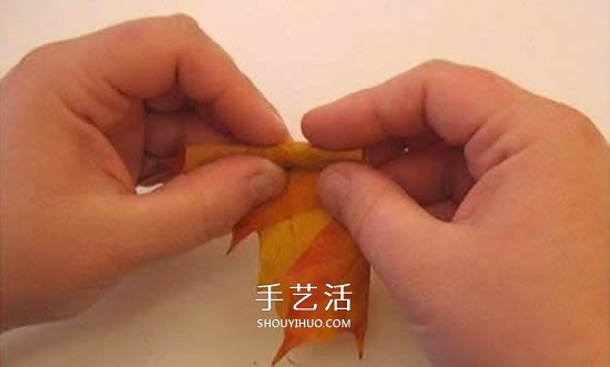 枫叶手工制作玫瑰花苞 树叶玫瑰花苞的做法(图3) 枫叶手工制作玫瑰花苞 树叶玫瑰花苞的做法(图3)