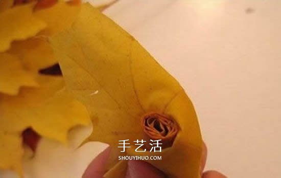 枫叶手工制作玫瑰花苞 树叶玫瑰花苞的做法(图5) 枫叶手工制作玫瑰花苞 树叶玫瑰花苞的做法(图5)