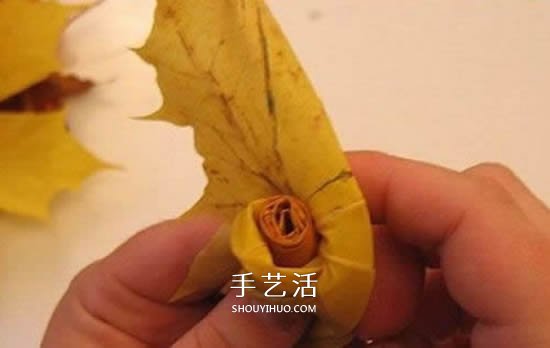 枫叶手工制作玫瑰花苞 树叶玫瑰花苞的做法(图7) 枫叶手工制作玫瑰花苞 树叶玫瑰花苞的做法(图7)