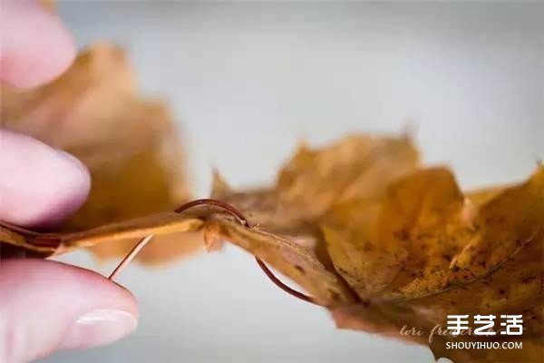 树叶皇冠的做法图片 手工枫叶皇冠制作方法(图3) 树叶皇冠的做法图片 手工枫叶皇冠制作方法(图3)