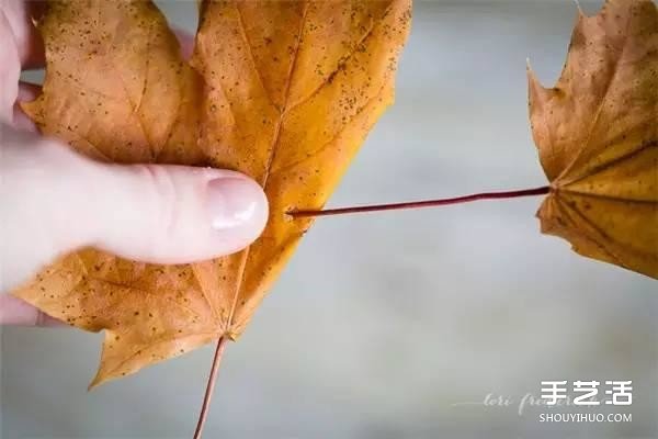 树叶皇冠的做法图片 手工枫叶皇冠制作方法(图2) 树叶皇冠的做法图片 手工枫叶皇冠制作方法(图2)