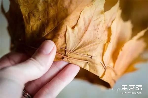 树叶皇冠的做法图片 手工枫叶皇冠制作方法(图6) 树叶皇冠的做法图片 手工枫叶皇冠制作方法(图6)