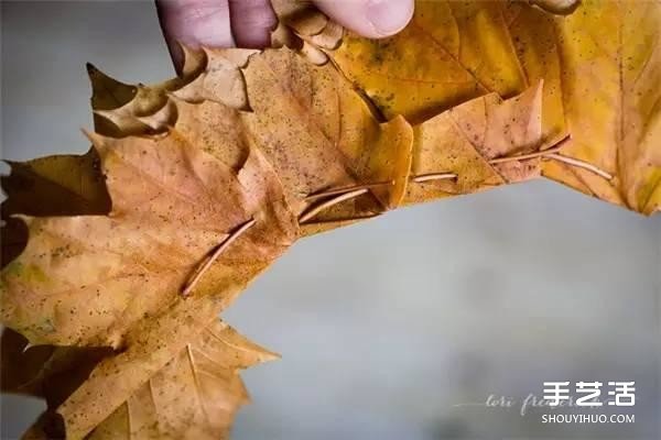 树叶皇冠的做法图片 手工枫叶皇冠制作方法(图5) 树叶皇冠的做法图片 手工枫叶皇冠制作方法(图5)