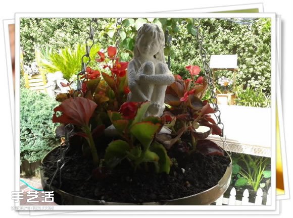 高压锅锅盖废物利用DIY制作花盆盆景的方法(图7) 高压锅锅盖废物利用DIY制作花盆盆景的方法(图7)