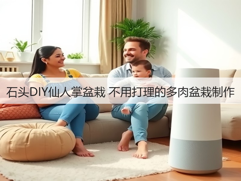 石头DIY仙人掌盆栽 不用打理的多肉盆栽制作 - 诺云双维造物网