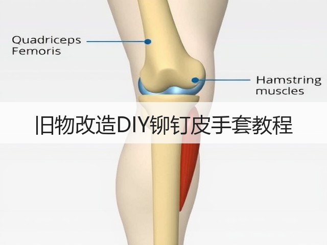 旧物改造DIY铆钉皮手套教程(图3) 旧物改造DIY铆钉皮手套教程(图3)